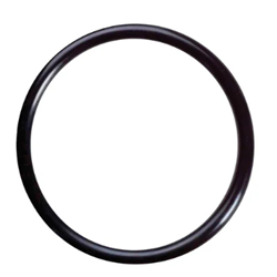 O'Ring