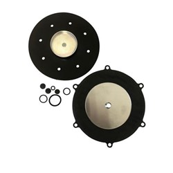 Landi Renzo Convertor Repair Kit - suits # 6001, # 6002