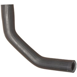 Radiator Hose - Lower (4Y)