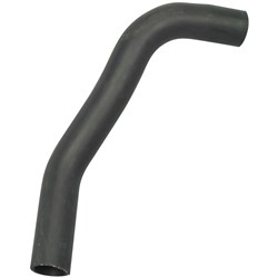 Radiator Hose - Lower (1DZ)