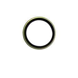 Oil Seal - King Pin HC R'Series 1.8t