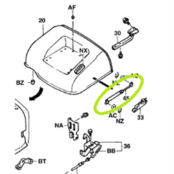 Bonnet Strut