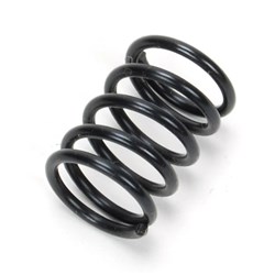 Brake Shoe Hold Down Spring