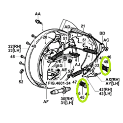 Brake Shoe Hold Down Spring