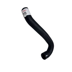 Radiator Hose - Lower (1FZ)