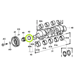 Crankshaft Timing Gear/Sprocket