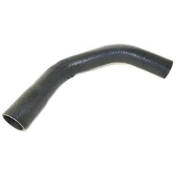 Radiator Hose - Upper (2Z)