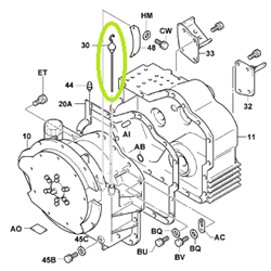 Transmission Oil Gauge Assembly