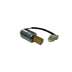 Valve Assembly Solenoid 4Y - LPG