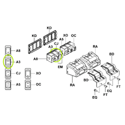 LPG/Petrol Toggle Switch - Genuine