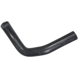 Radiator Hose (Lower)