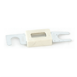 Fuse Enclosed 100 Amp