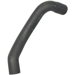 Radiator Hose - Upper (1DZ)