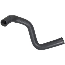 Radiator Hose - Lower (H20II, H25)