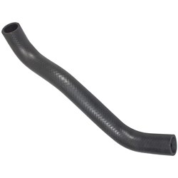 Radiator Hose - Upper (K21, K25)