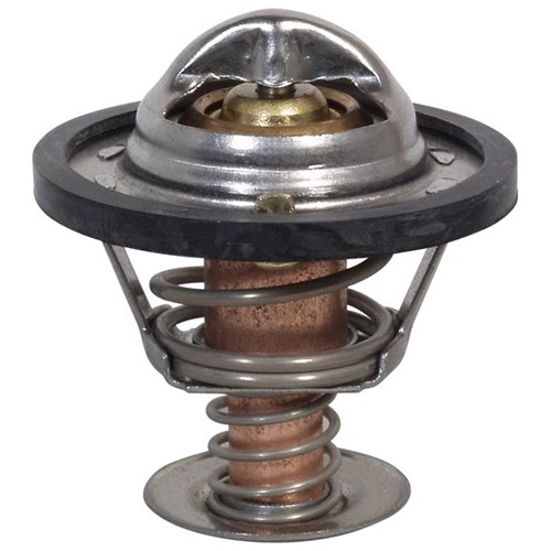 Thermostat & Gasket (4Y)