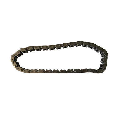 Timing Chain (4Y)