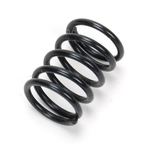 Brake Shoe Hold Down Spring