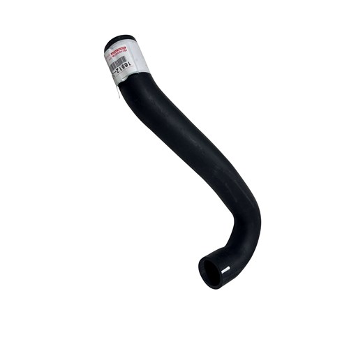 Radiator Hose - Lower (1FZ)